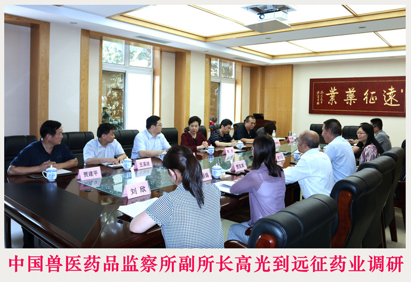 中國(guó)獸醫(yī)藥品監(jiān)察所副所長(zhǎng)高光到遠(yuǎn)征藥業(yè)調(diào)研