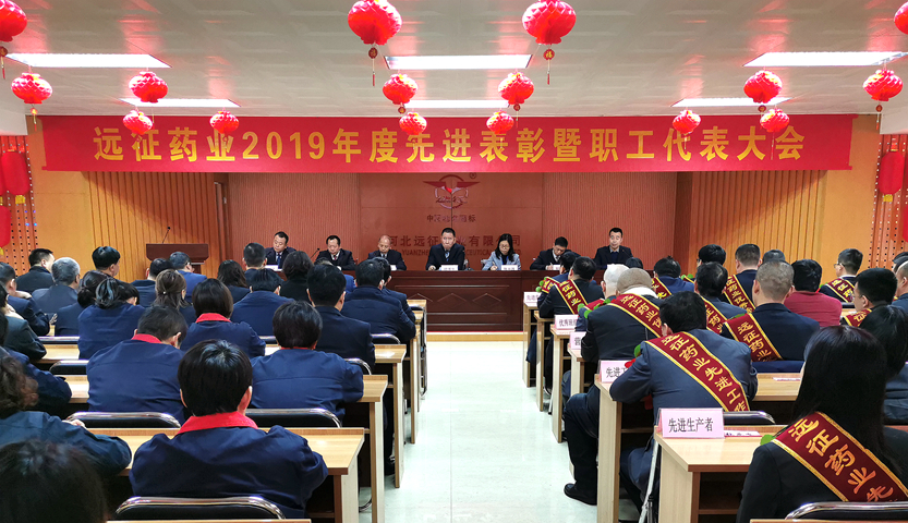 揚楷模鼓舞士氣 展藍(lán)圖干勁十足